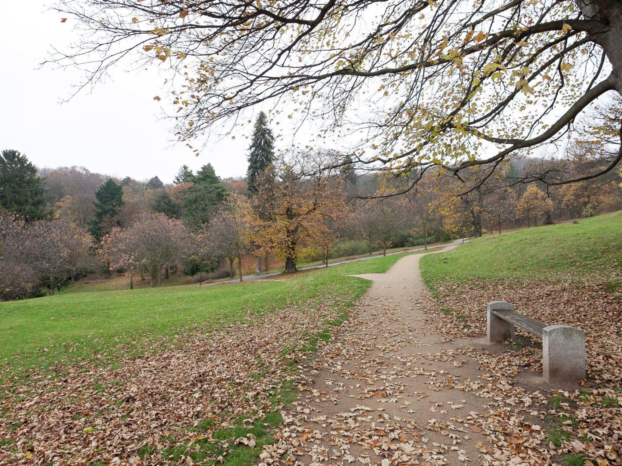 Beautiful Apartment In D Rnthal Near The Forest Voigtsdorf エクステリア 写真